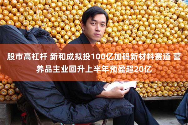 股市高杠杆 新和成拟投100亿加码新材料赛道 营养品主业回升上半年预盈超20亿