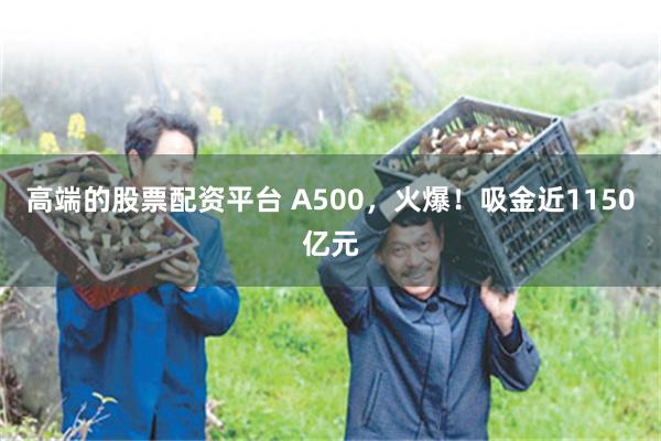 高端的股票配资平台 A500，火爆！吸金近1150亿元