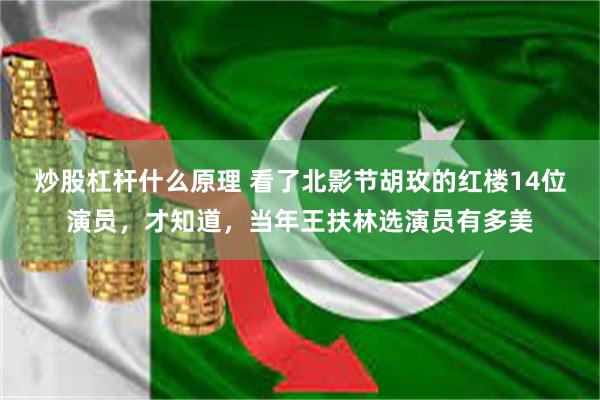 炒股杠杆什么原理 看了北影节胡玫的红楼14位演员，才知道，当年王扶林选演员有多美