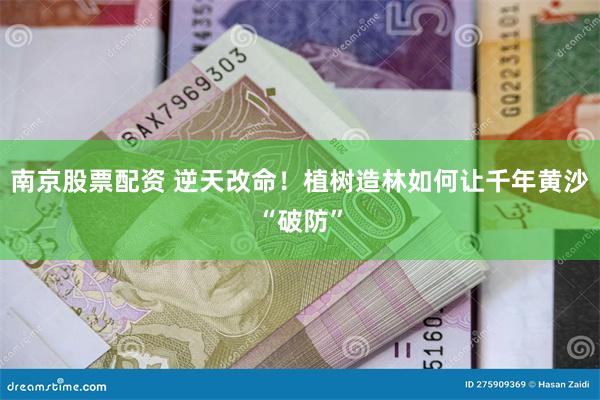 南京股票配资 逆天改命！植树造林如何让千年黄沙“破防”
