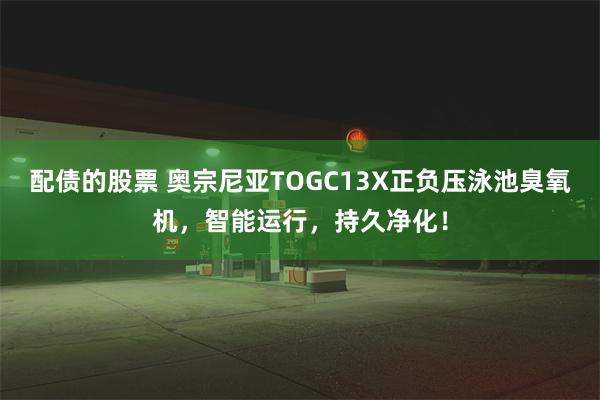配债的股票 奥宗尼亚TOGC13X正负压泳池臭氧机，智能运行，持久净化！