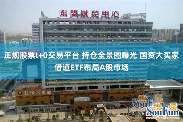正规股票t+0交易平台 持仓全景图曝光 国资大买家借道ETF布局A股市场