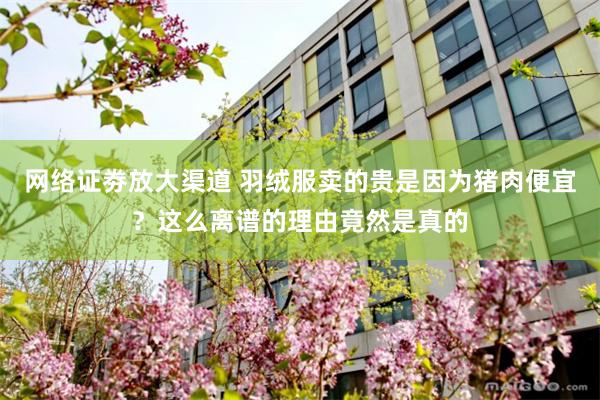 网络证劵放大渠道 羽绒服卖的贵是因为猪肉便宜？这么离谱的理由竟然是真的