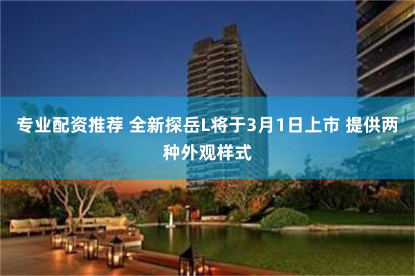 专业配资推荐 全新探岳L将于3月1日上市 提供两种外观样式