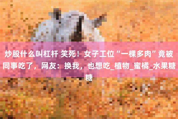 炒股什么叫杠杆 笑死！女子工位“一棵多肉”竟被同事吃了，网友：换我，也想吃_植物_蜜橘_水果糖