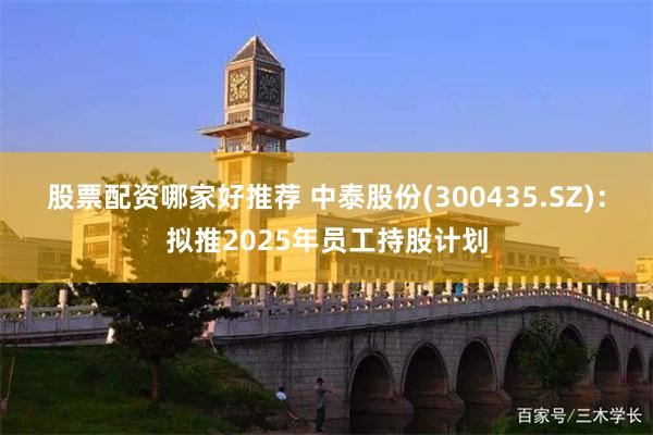 股票配资哪家好推荐 中泰股份(300435.SZ)：拟推2025年员工持股计划