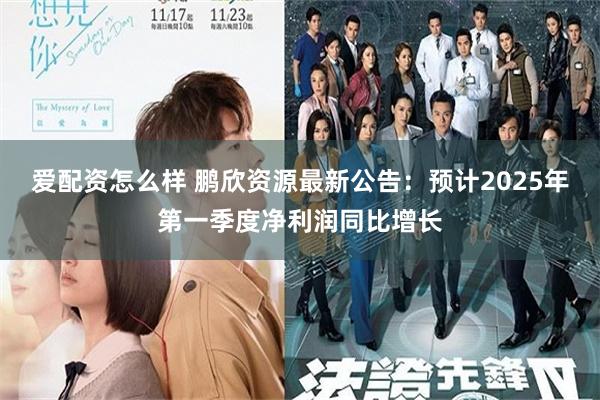 爱配资怎么样 鹏欣资源最新公告：预计2025年第一季度净利润同比增长