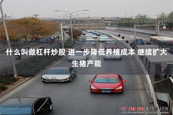 什么叫做杠杆炒股 进一步降低养殖成本 继续扩大生猪产能