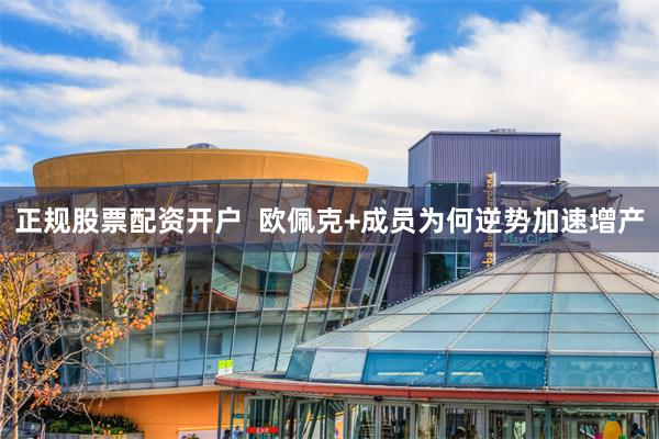 正规股票配资开户  欧佩克+成员为何逆势加速增产