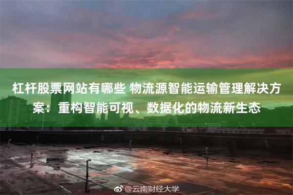 杠杆股票网站有哪些 物流源智能运输管理解决方案：重构智能可视、数据化的物流新生态
