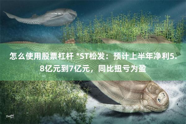怎么使用股票杠杆 *ST松发：预计上半年净利5.8亿元到7亿元，同比扭亏为盈