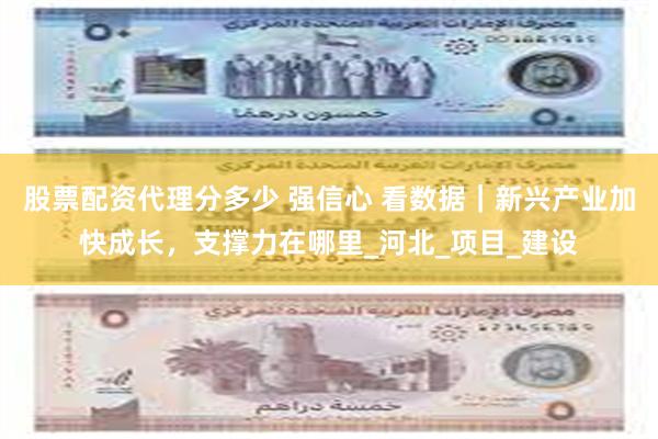 股票配资代理分多少 强信心 看数据｜新兴产业加快成长，支撑力在哪里_河北_项目_建设