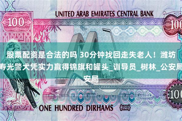 股票配资是合法的吗 30分钟找回走失老人！潍坊寿光警犬凭实力赢得锦旗和罐头_训导员_树林_公安局
