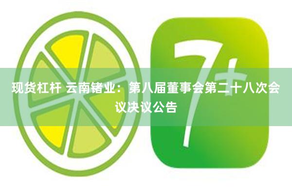 现货杠杆 云南锗业：第八届董事会第二十八次会议决议公告